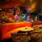ӢҹܻMahiki